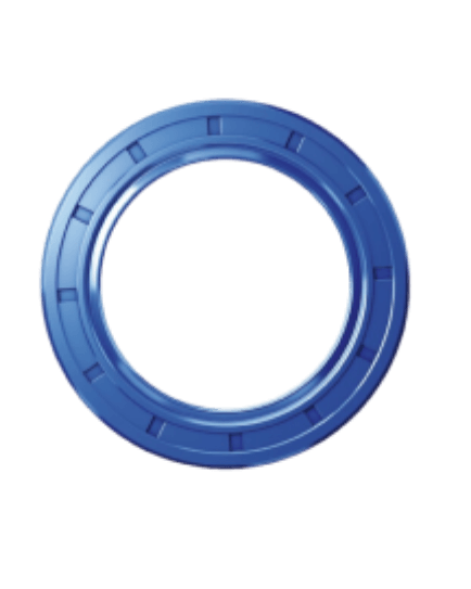 صورة Oil Seal Suppliers in Dubai, Uae